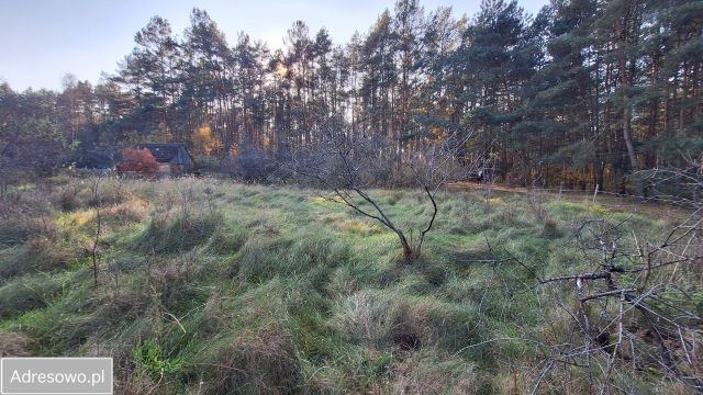 Działka budowlana Piłka. Zdjęcie 1