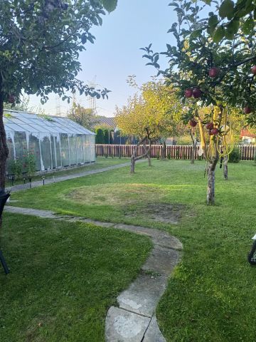 Działka rod Bełchatów, ul. Cegielniana. Zdjęcie 1