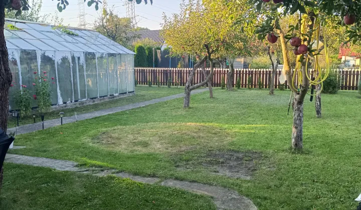 Działka rod Bełchatów, ul. Cegielniana