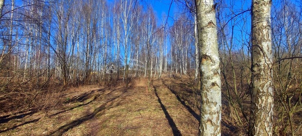 Działka budowlana Różnowo. Zdjęcie 18
