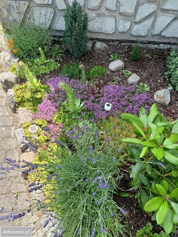 dom wolnostojący, 4 pokoje Bielsko. Zdjęcie 11