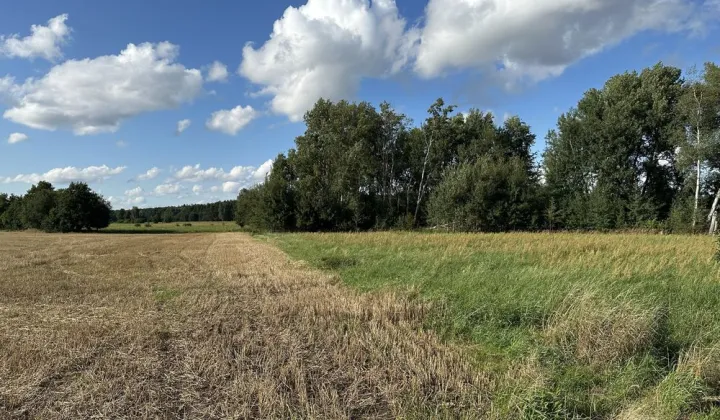 Działka budowlana Świniary Borowna