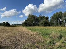 Działka budowlana Świniary Borowna