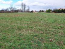 Działka rolna Ruszcza-Płaszczyzna. Zdjęcie 2