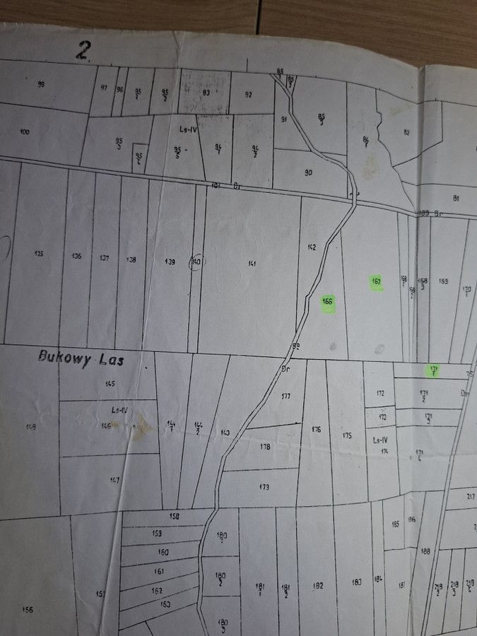 Działka leśna Kosztowa. Zdjęcie 2