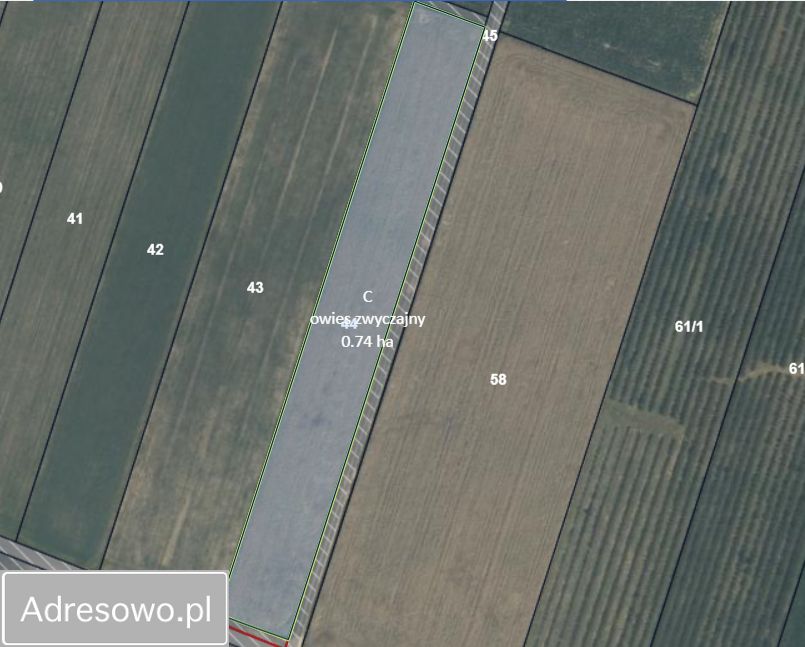 Działka rolna Huszlew. Zdjęcie 2