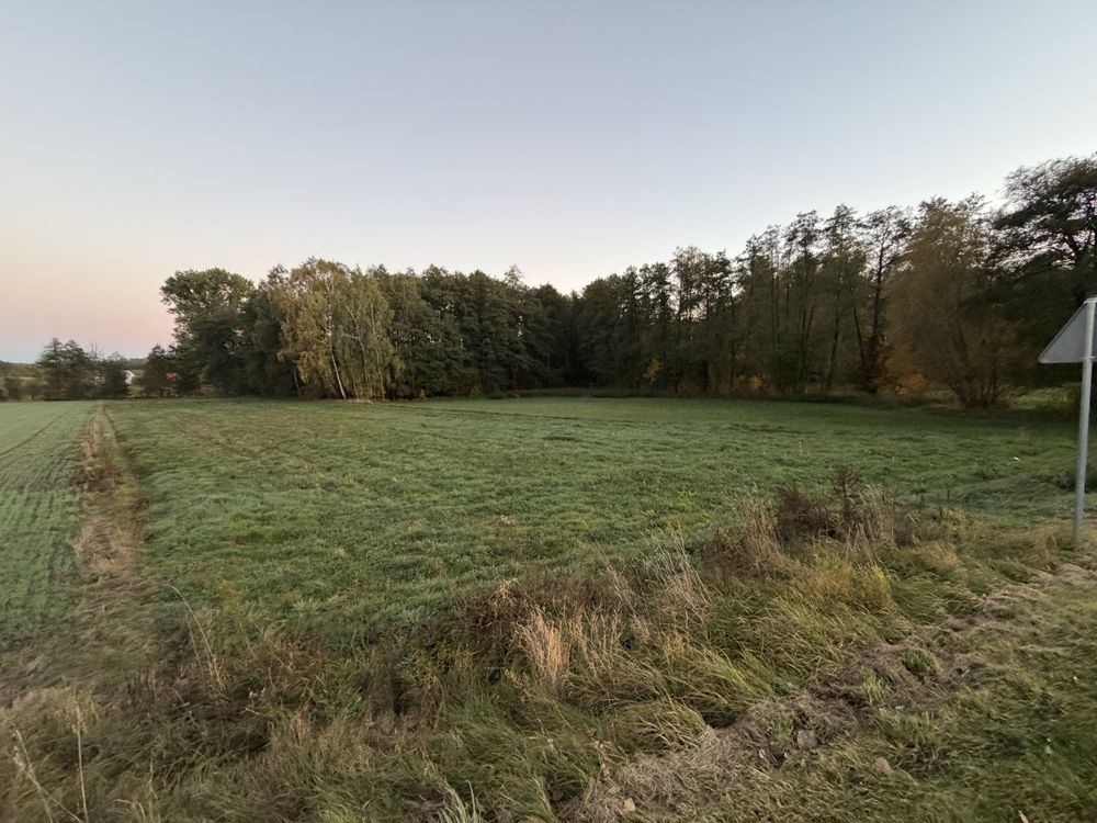 Działka rolno-budowlana Zabruzdy-Kolonia. Zdjęcie 2