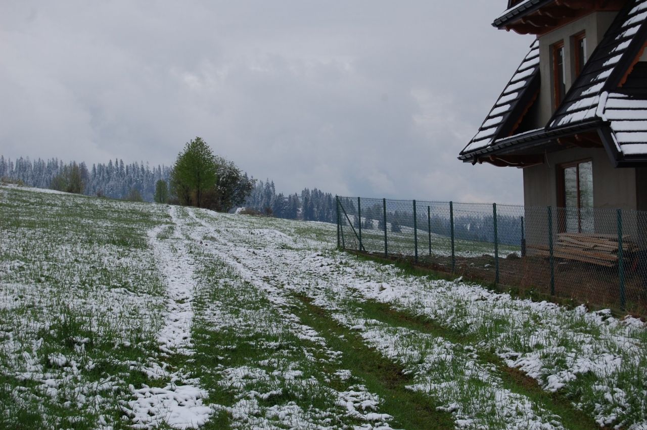 Działka rolna Bukowina Tatrzańska, ul. Wierch Rusiński. Zdjęcie 6