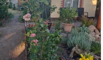 Działka rod Turek, ul. Komunalna