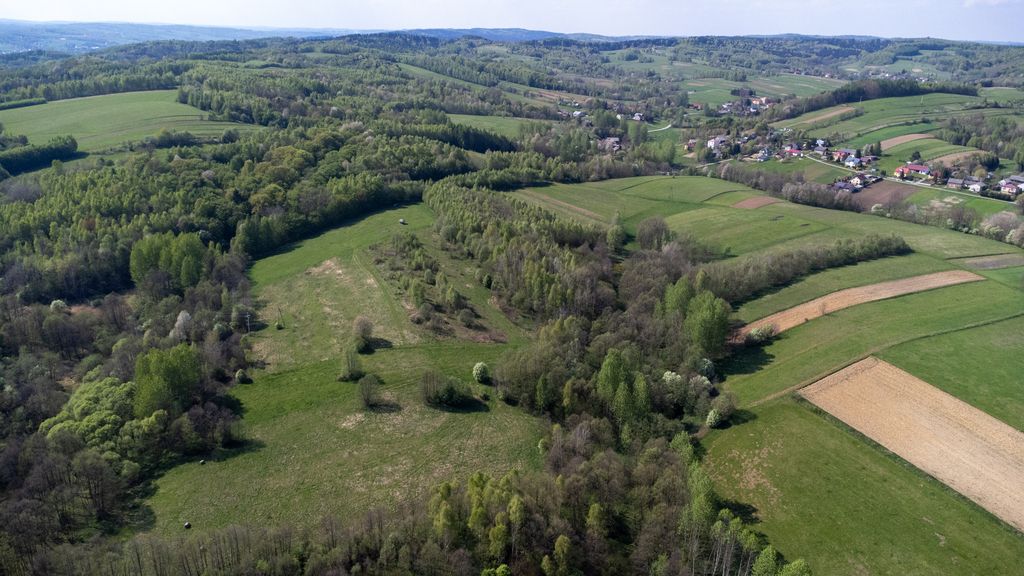 Działka rolna Laskówka. Zdjęcie 7