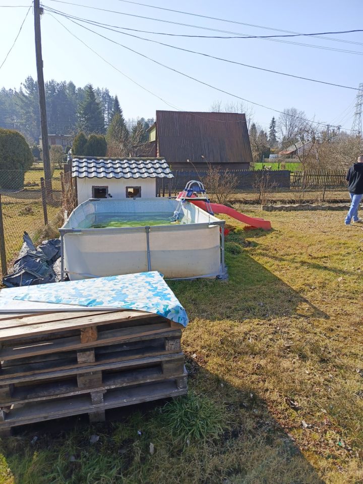 Działka rod Wodzisław Śląski. Zdjęcie 16