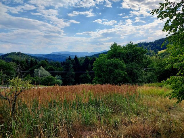 Działka budowlana Tropie Chabalina. Zdjęcie 1