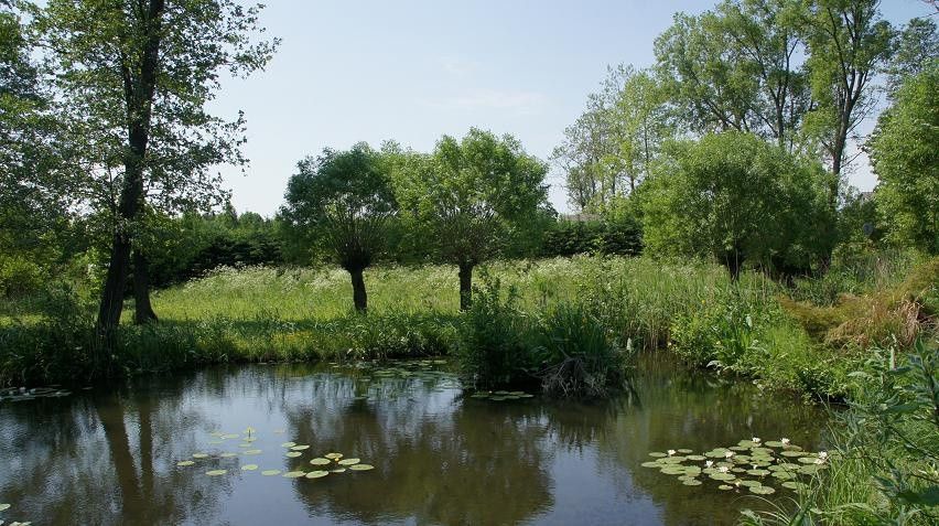 Działka budowlana Rukławki. Zdjęcie 3