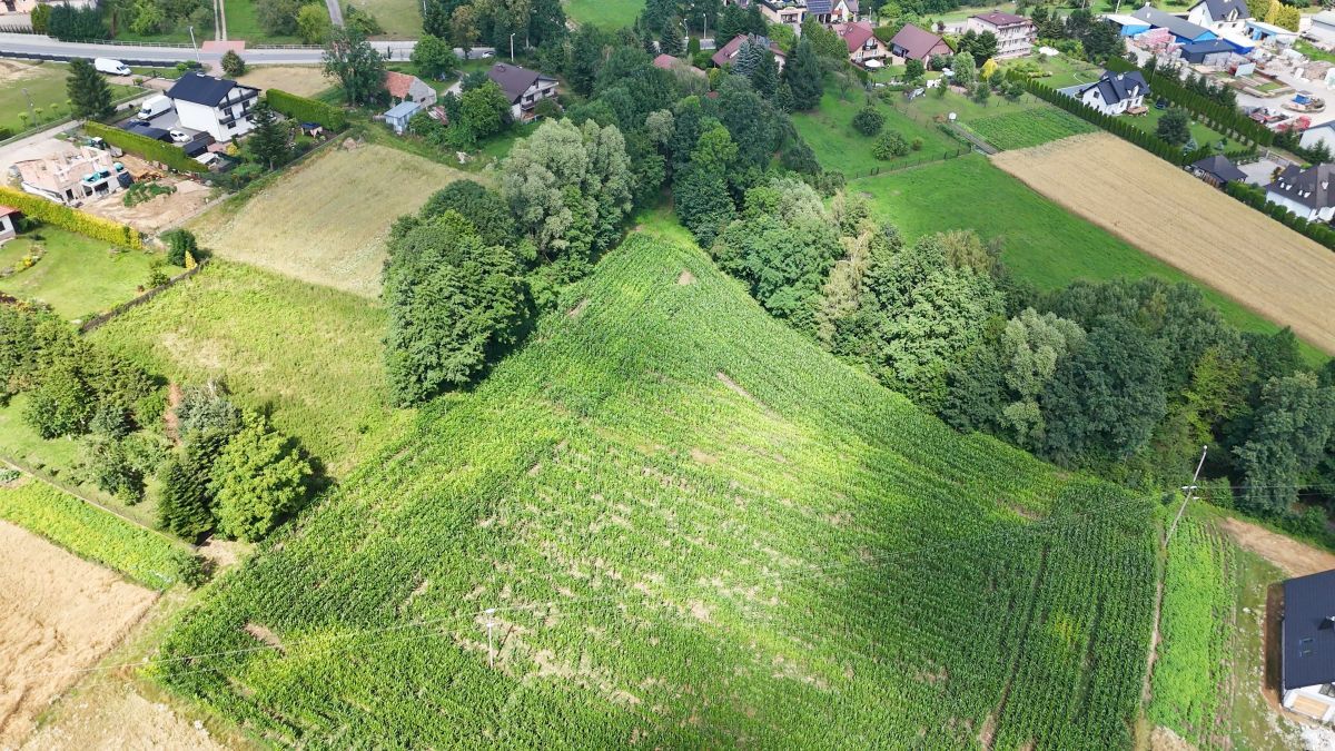 Działka budowlana Grajów. Zdjęcie 9