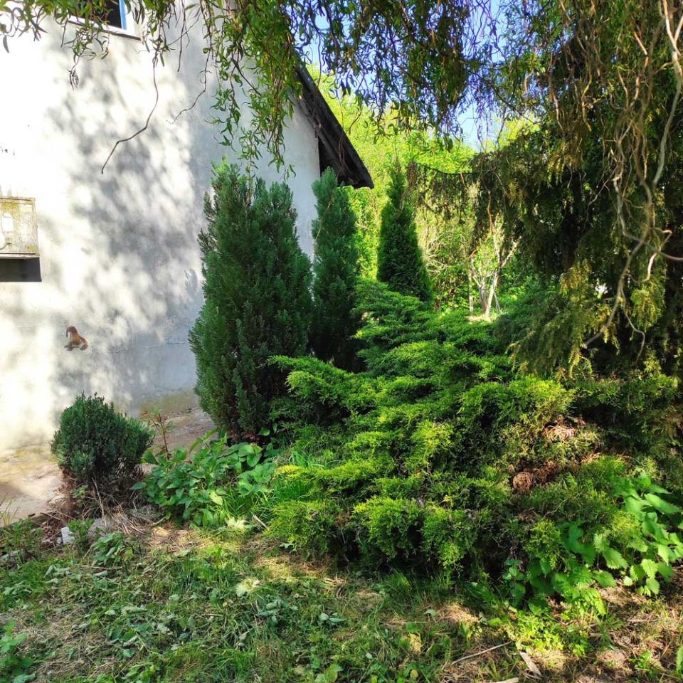 Działka siedliskowa Popowice. Zdjęcie 2