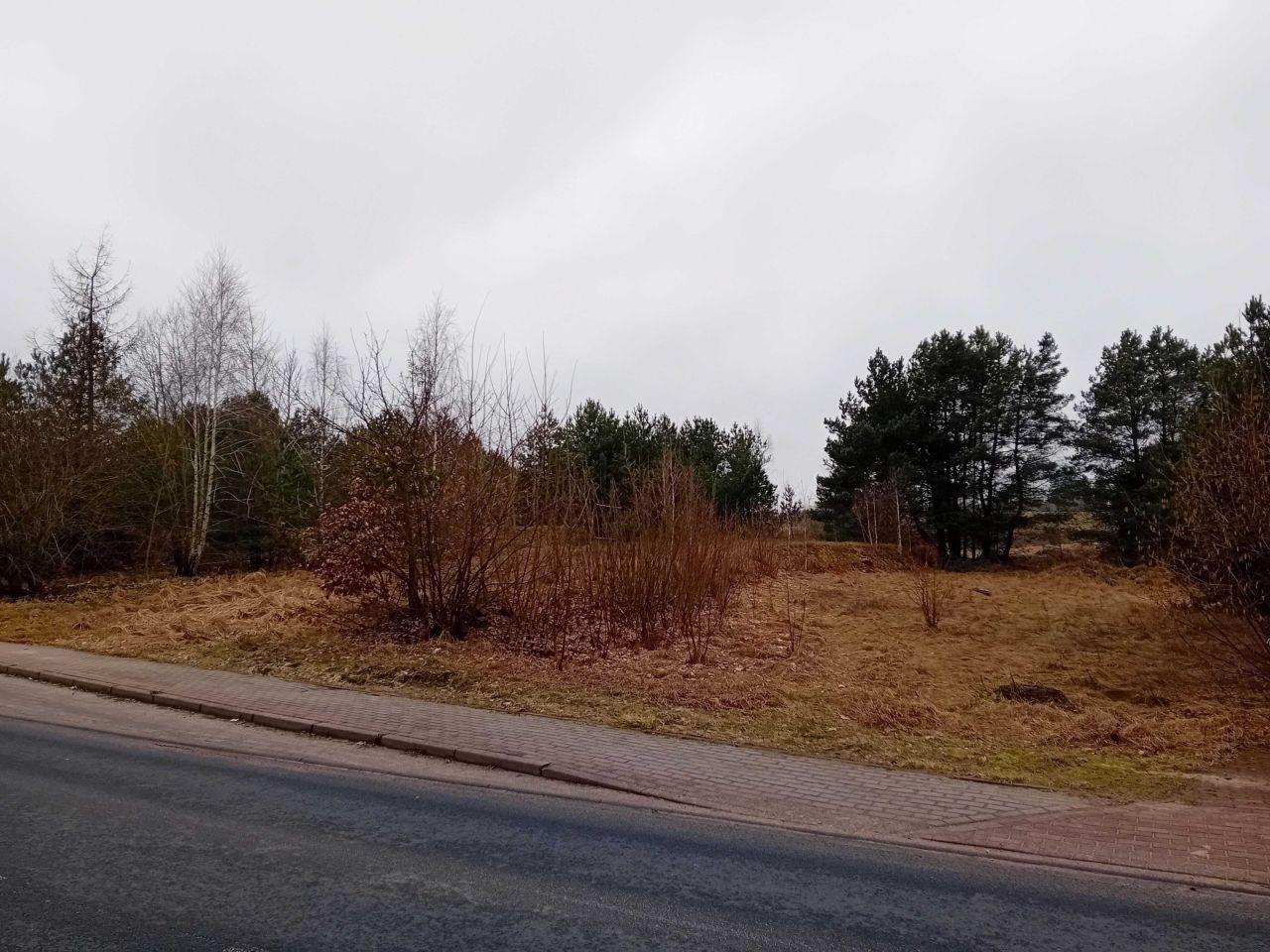 Działka budowlana Turowo. Zdjęcie 2