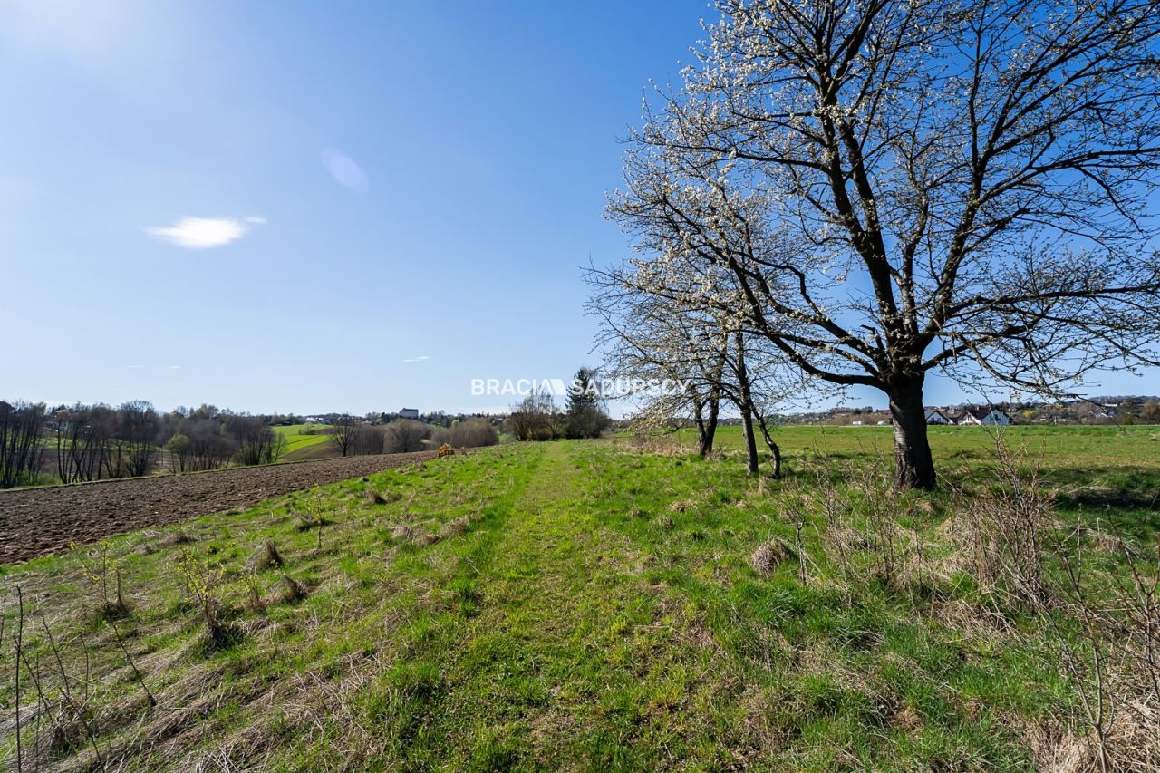 Działka rolna Sławkowice. Zdjęcie 17