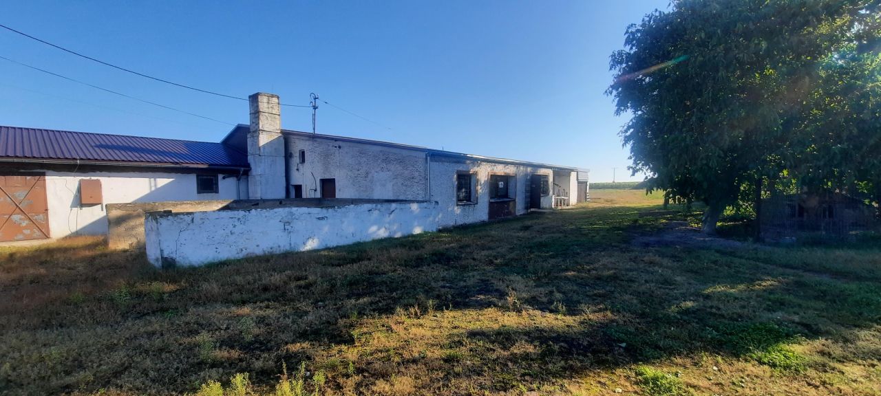 Nieruchomość komercyjna Branice, ul. Bolesława Prusa. Zdjęcie 4