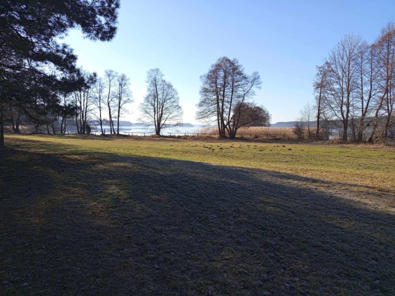 Działka rolna Zabrody. Zdjęcie 2