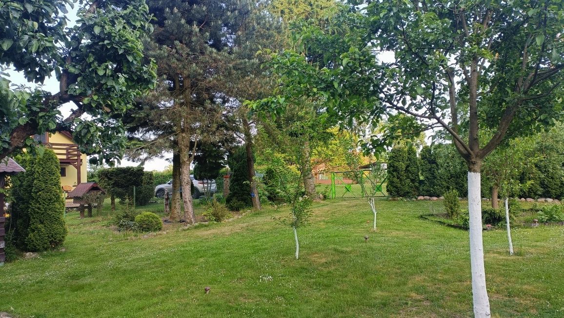 Działka rod Guty. Zdjęcie 2