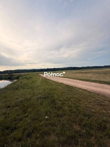 Działka rolna Krzewo. Zdjęcie 13
