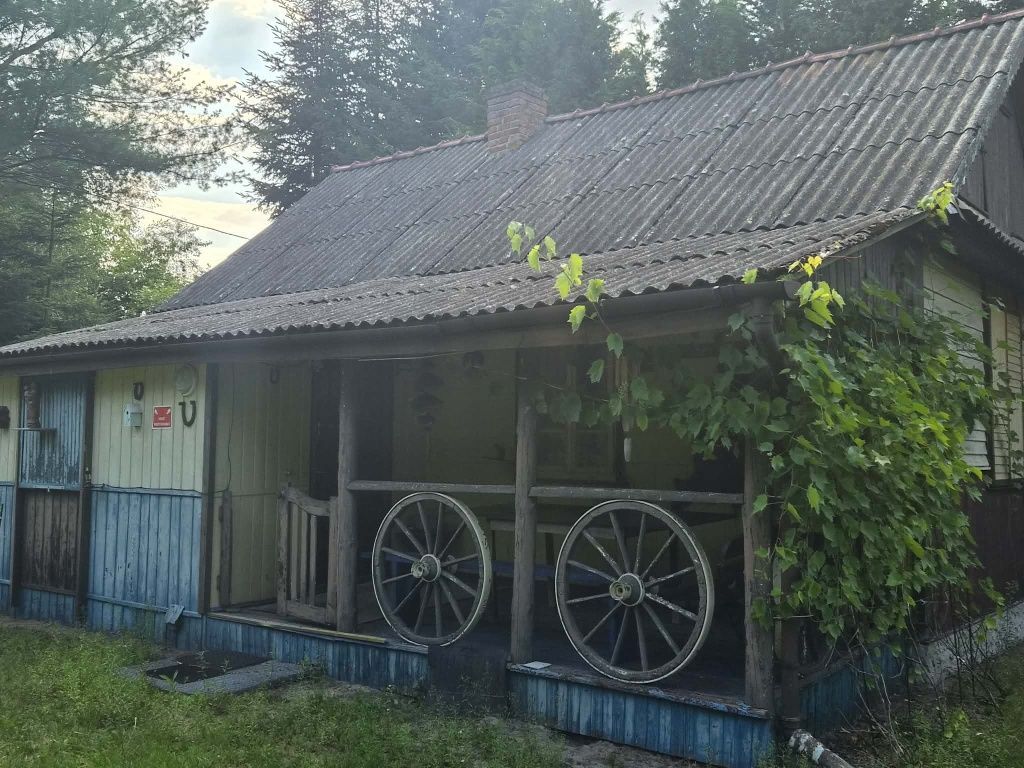 Działka siedliskowa Maliniec. Zdjęcie 2