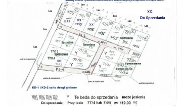 Działka budowlana Wielki Sosnowiec, Przy lesie