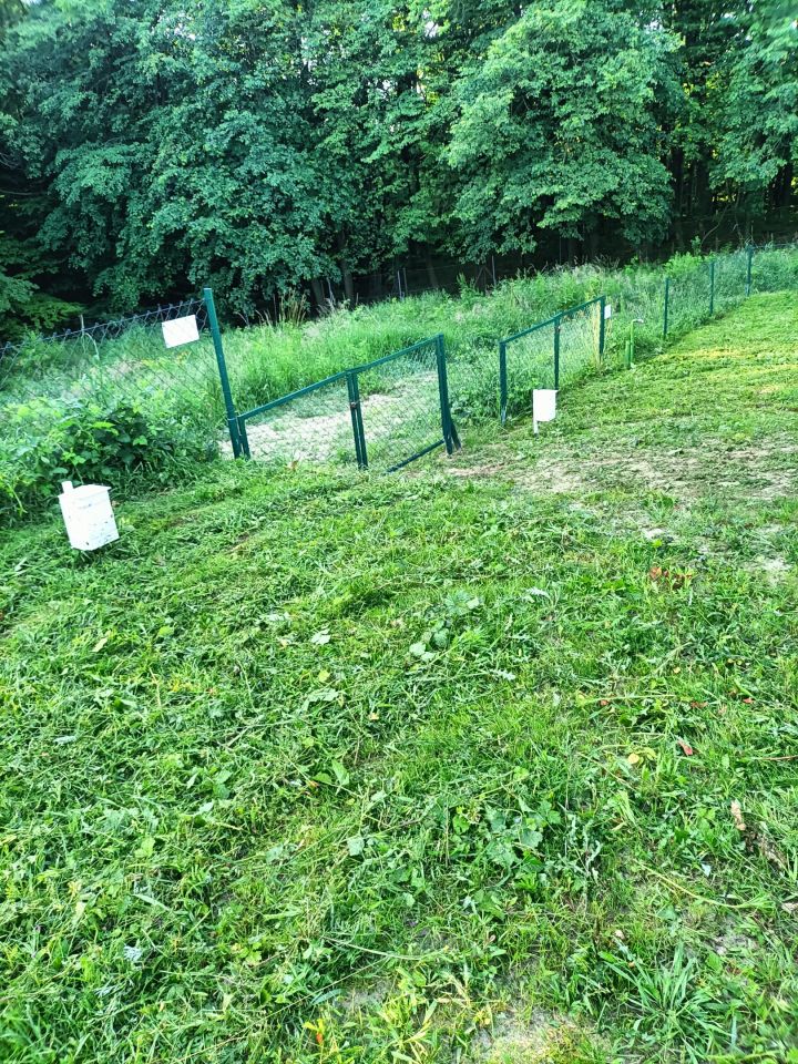 Działka rod Gdańsk Złota Karczma, ul. mjr. Mieczysława Słabego. Zdjęcie 2