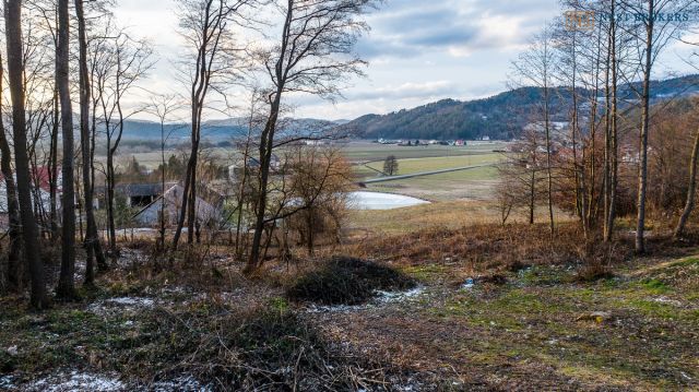 Działka budowlana Roztoka-Brzeziny. Zdjęcie 10