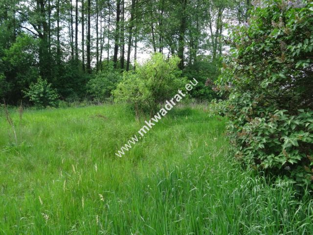 Działka budowlana Waleriany. Zdjęcie 1