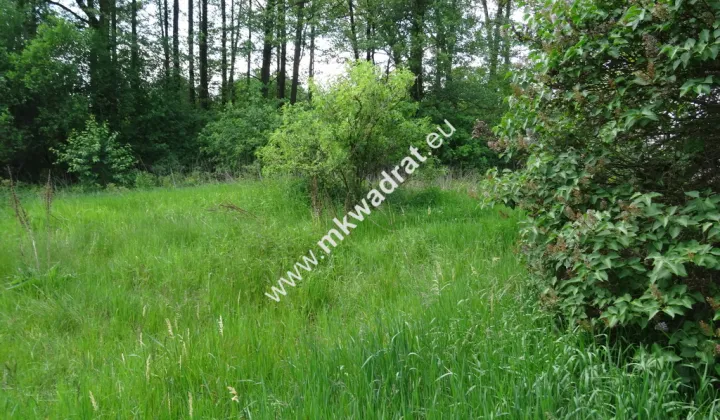 Działka budowlana Waleriany