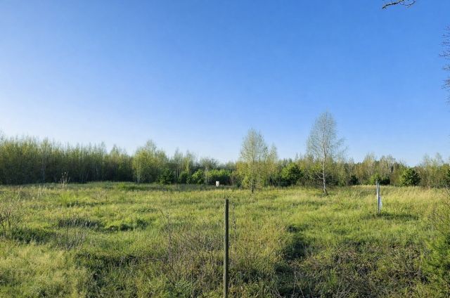 Działka budowlana Pluski. Zdjęcie 1