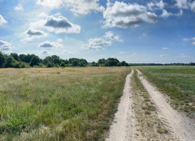 Działka budowlana Strzegów. Zdjęcie 1