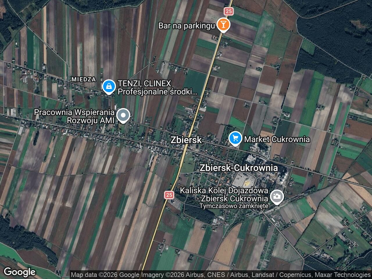 Działka leśna Zbiersk. Zdjęcie 1