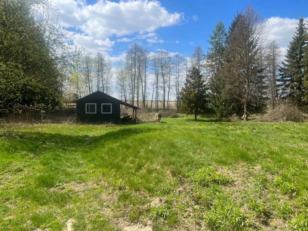 Działka siedliskowa Wojciechów. Zdjęcie 3