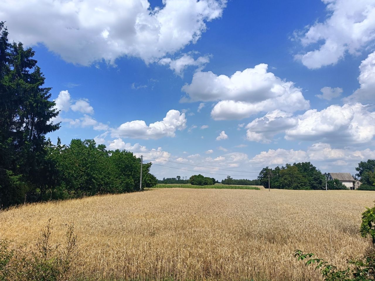 Działka budowlana Radzanowo