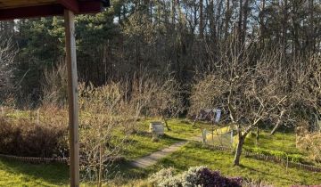 Działka rod Gdynia Mały Kack