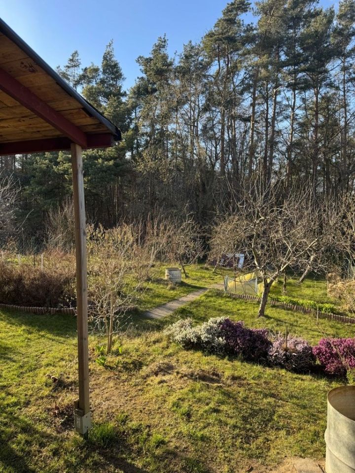 Działka rod Gdynia Mały Kack. Zdjęcie 2