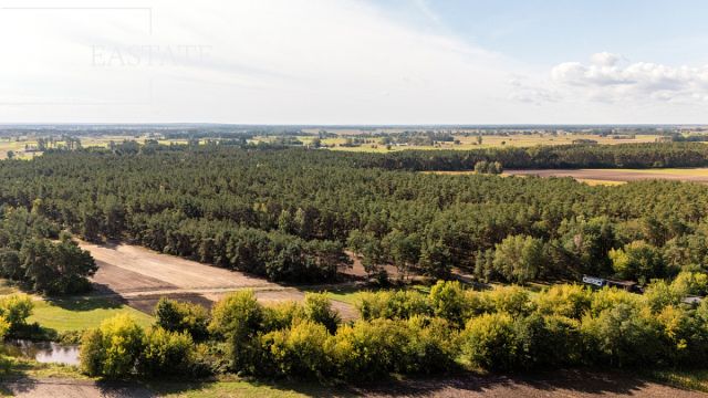 Działka leśna Maurzyce. Zdjęcie 2