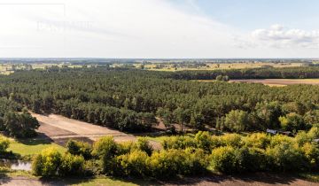 Działka leśna Maurzyce