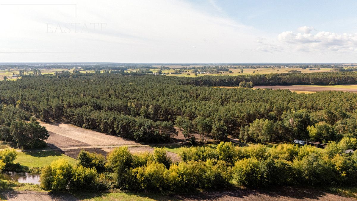 Działka leśna Maurzyce. Zdjęcie 2