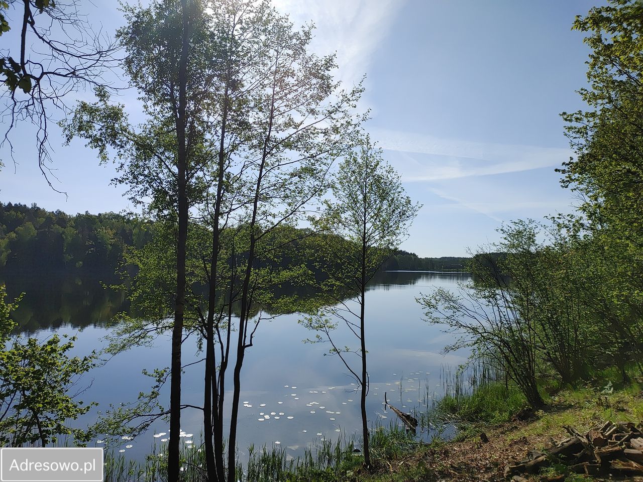 Działka leśna Sąpolno. Zdjęcie 10