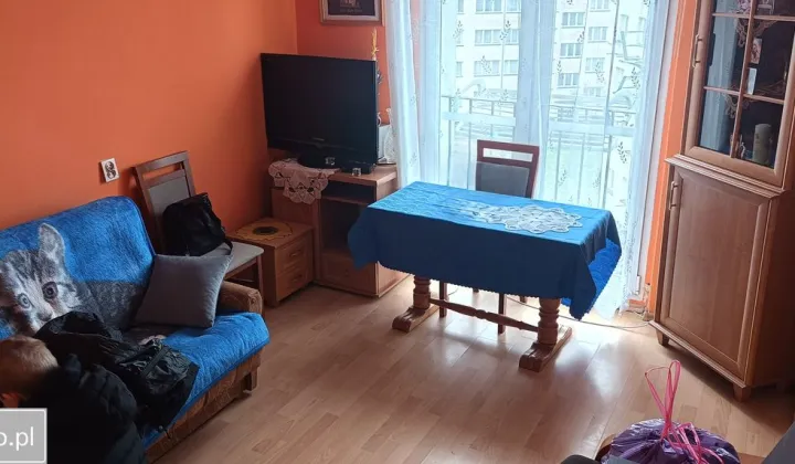 Mieszkanie 2-pokojowe Leśna, ul. Elizy Orzeszkowej