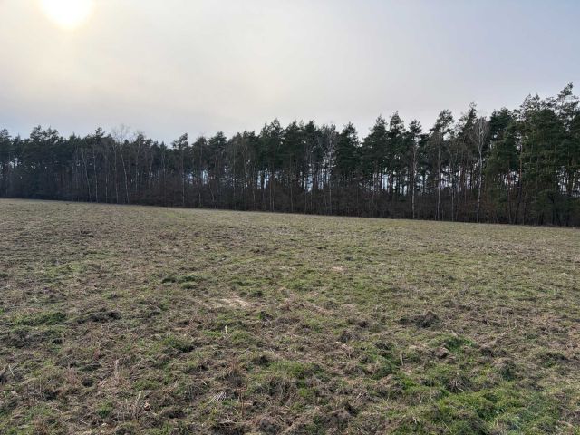 Działka rolna Tryszczyn, ul. Jałowcowa. Zdjęcie 1