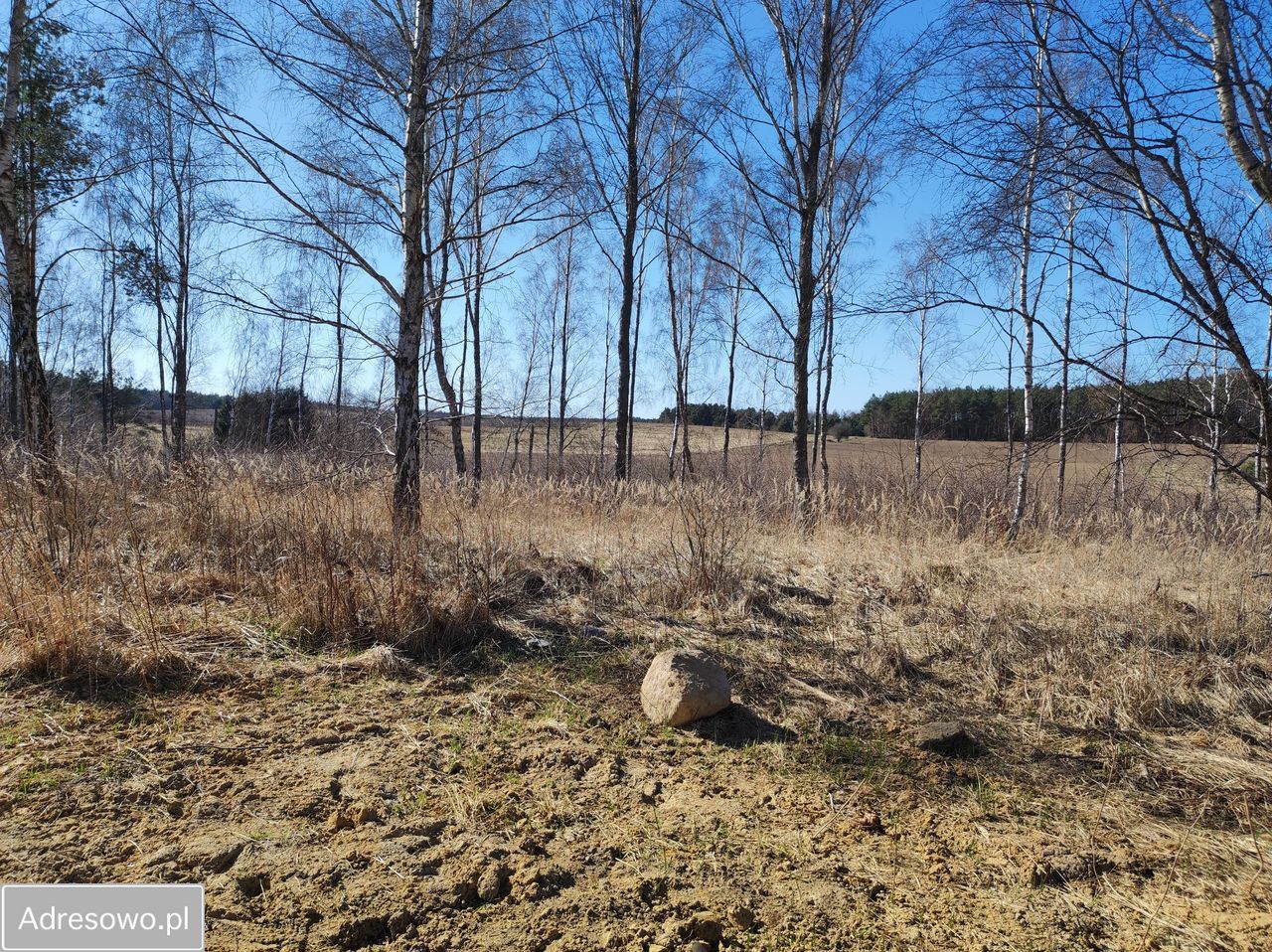 Działka budowlana Wyszewo. Zdjęcie 8