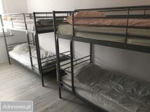 bliźniak Pietrzykowice. Zdjęcie 3