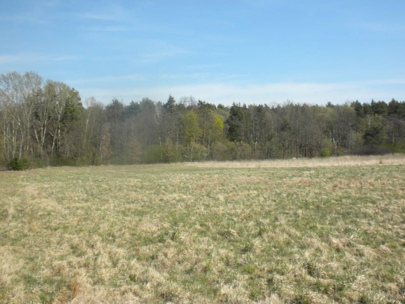 Działka budowlana Nowa Wieś Goszczańska