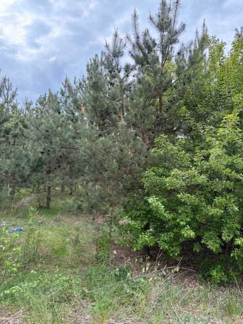 Działka rolno-budowlana Romany. Zdjęcie 3