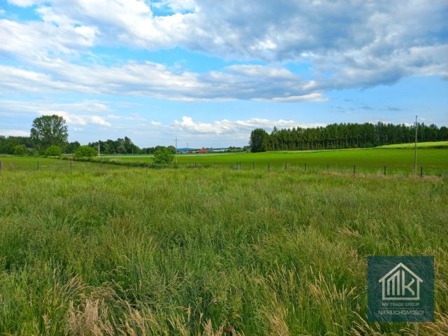 Działka budowlana Dąbrowa. Zdjęcie 2