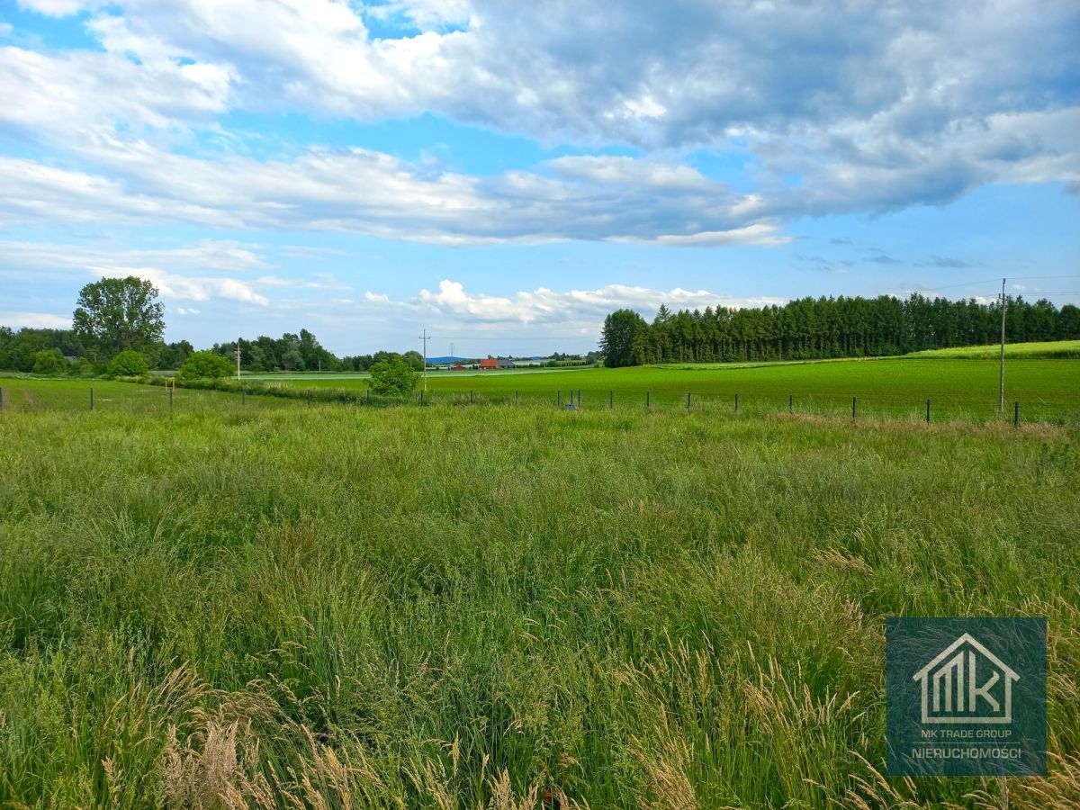 Działka budowlana Dąbrowa. Zdjęcie 2